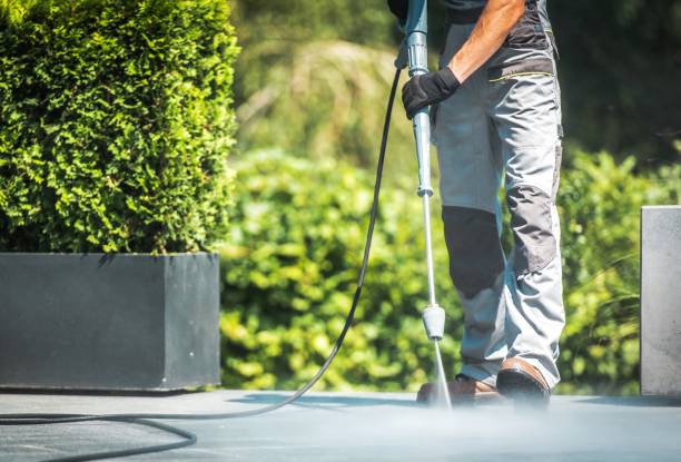 Best House Exterior Washing  in Greenvle, IL