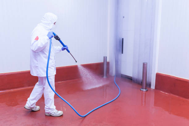 Best Fleet Vehicle Washing  in Greenvle, IL