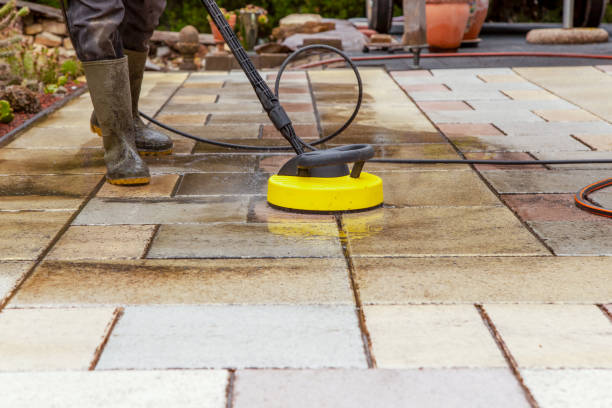 Best Driveway Pressure Washing  in Greenvle, IL
